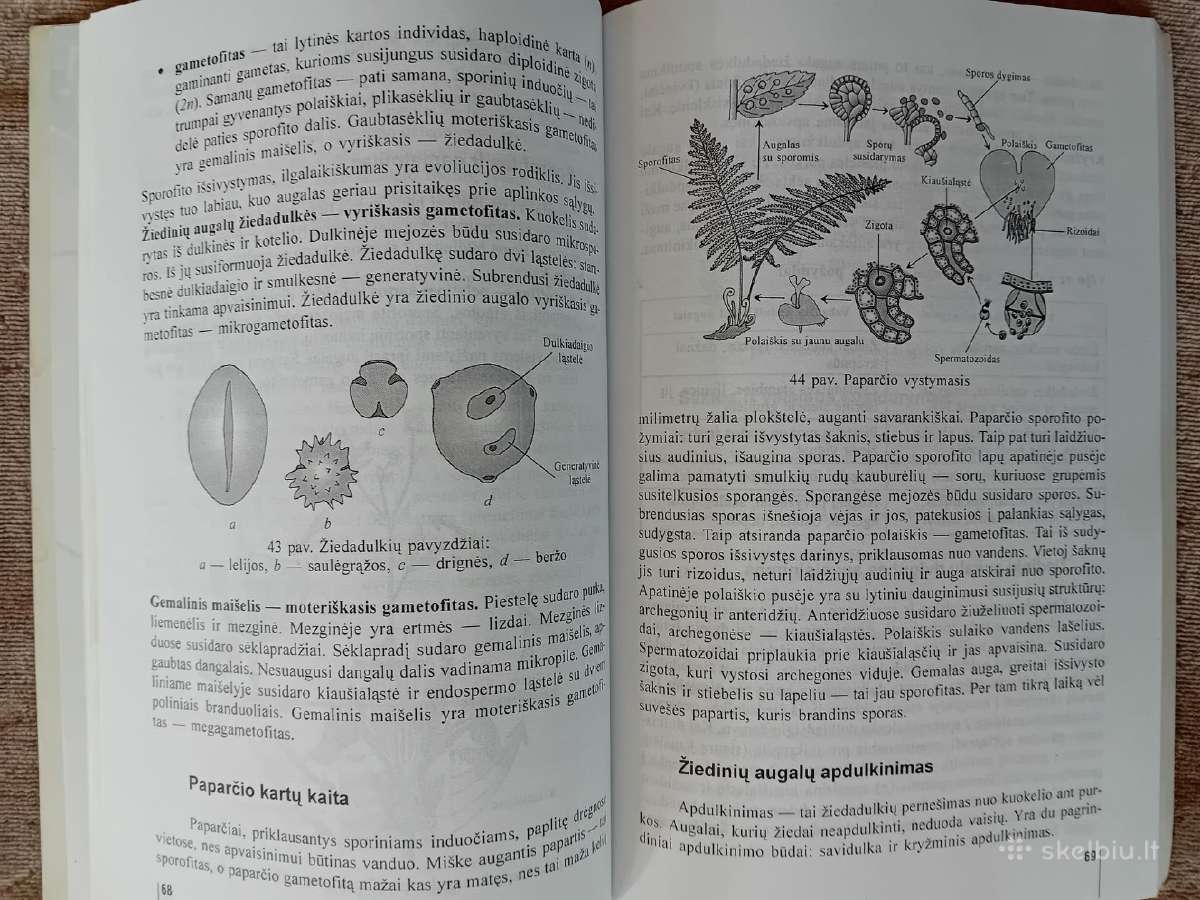 Knygos ir vadovėliai apie biologiją ir zoologiją - nuotraukos Nr. 4