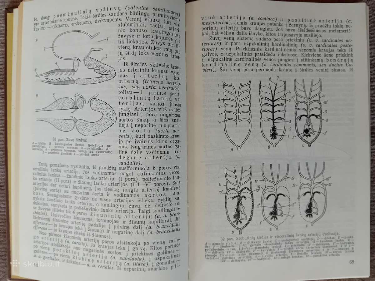 Knygos ir vadovėliai apie biologiją ir zoologiją - nuotraukos Nr. 5