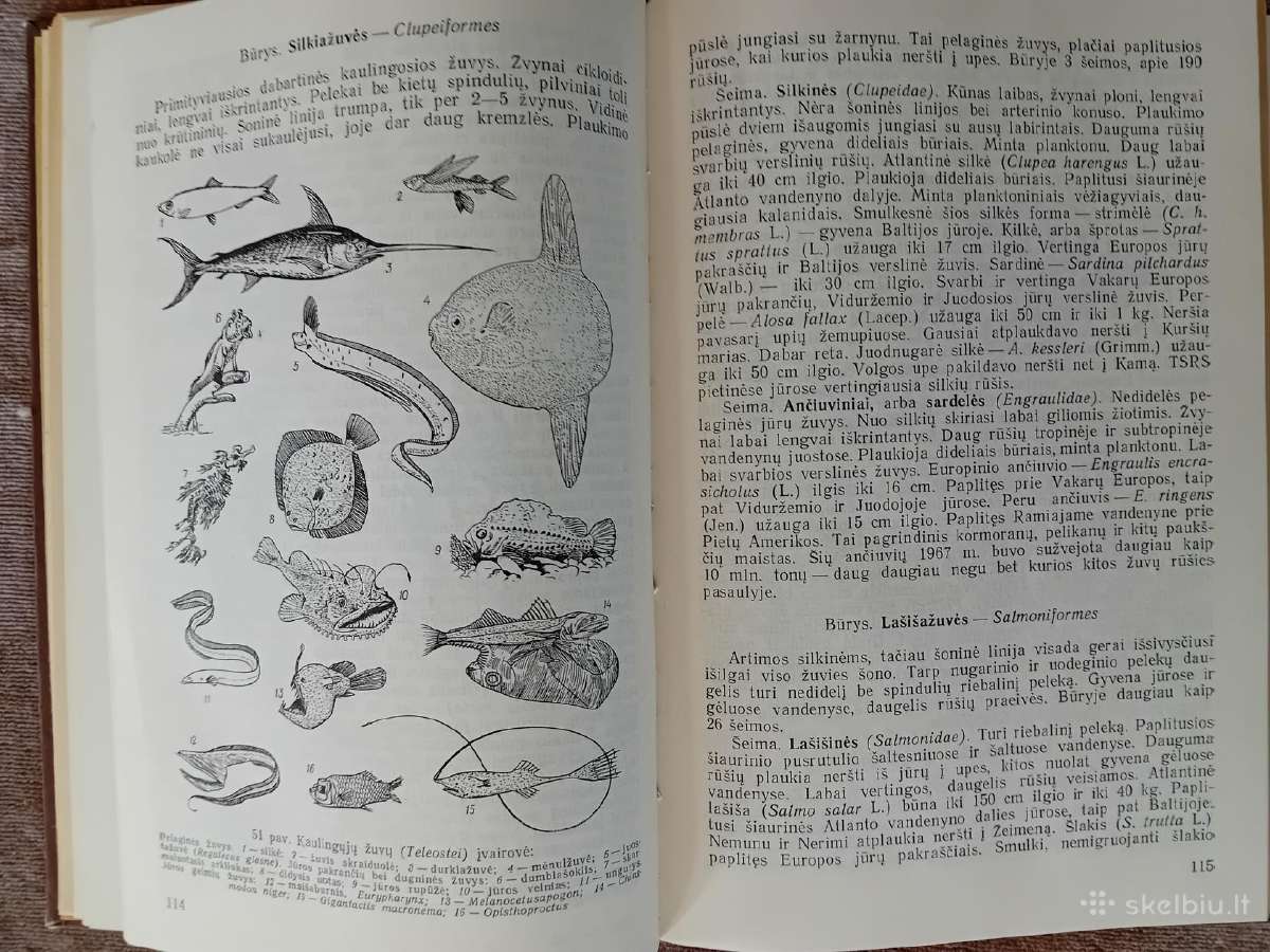 Knygos ir vadovėliai apie biologiją ir zoologiją - nuotraukos Nr. 6