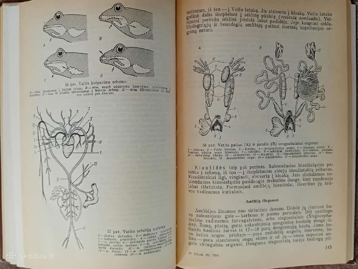 Knygos ir vadovėliai apie biologiją ir zoologiją - nuotraukos Nr. 7