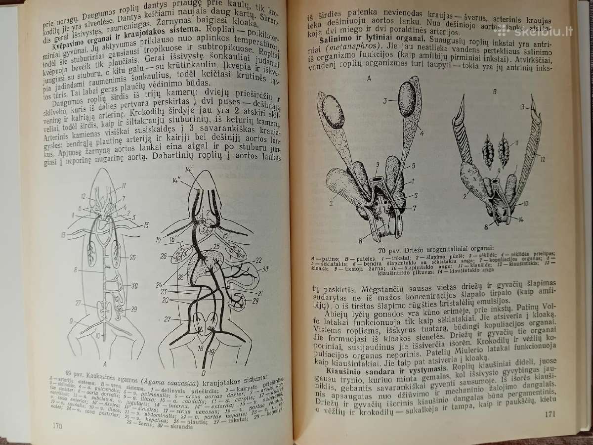 Knygos ir vadovėliai apie biologiją ir zoologiją - nuotraukos Nr. 8