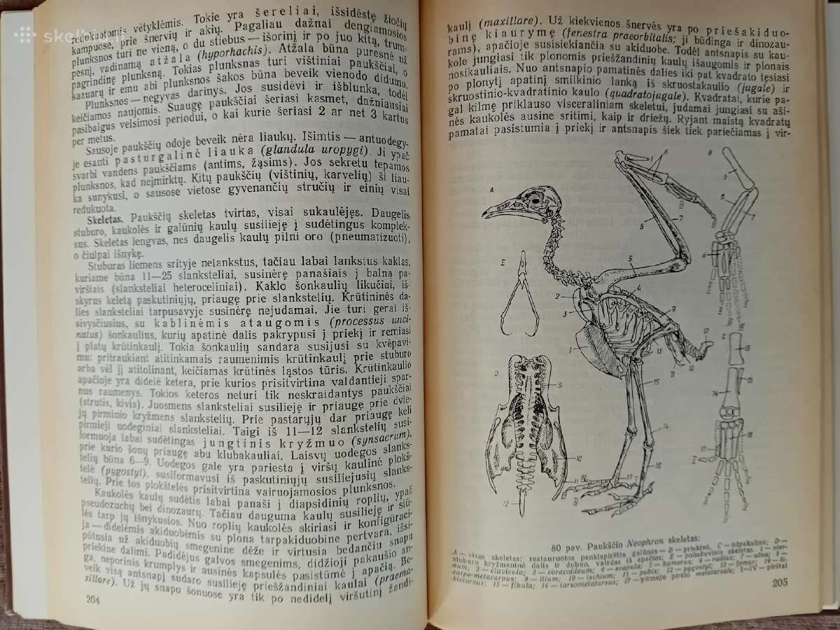 Knygos ir vadovėliai apie biologiją ir zoologiją - nuotraukos Nr. 9