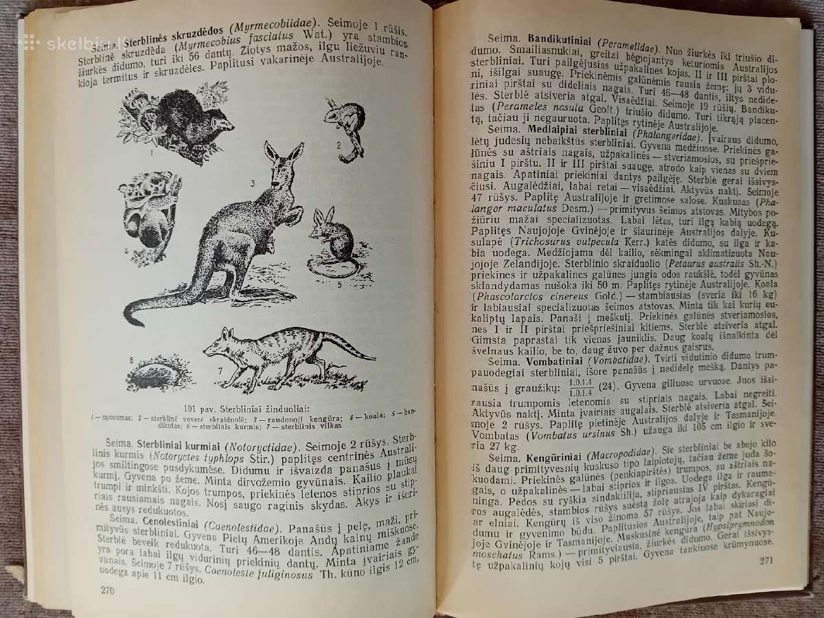 Knygos ir vadovėliai apie biologiją ir zoologiją - nuotraukos Nr. 10