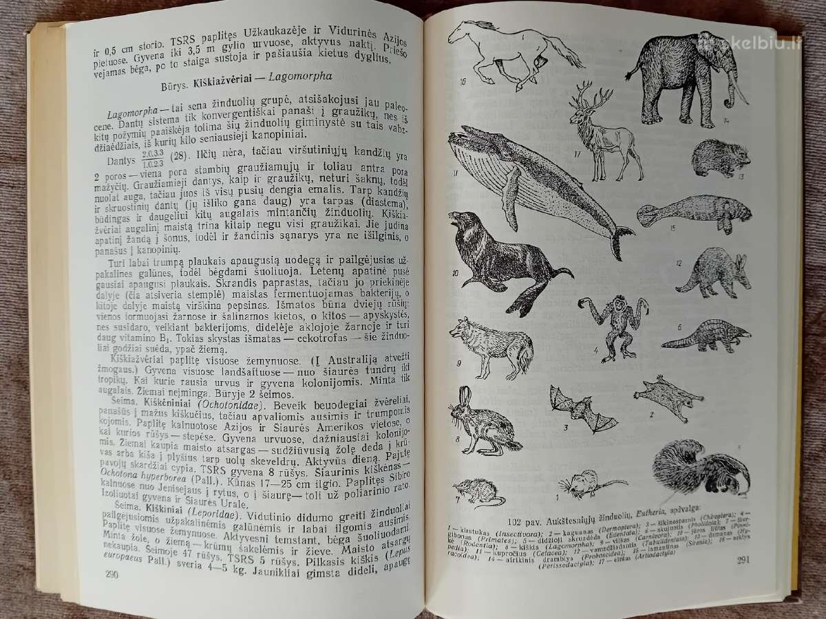 Knygos ir vadovėliai apie biologiją ir zoologiją - nuotraukos Nr. 11