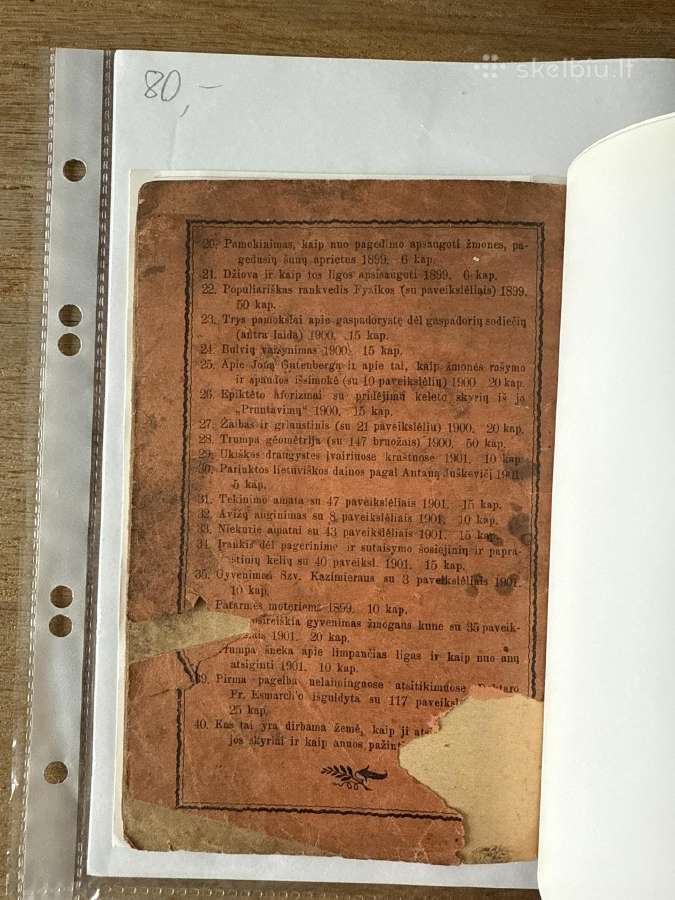 Trumpi šneka apie Limpančias ligas 1901 m. - nuotraukos Nr. 7