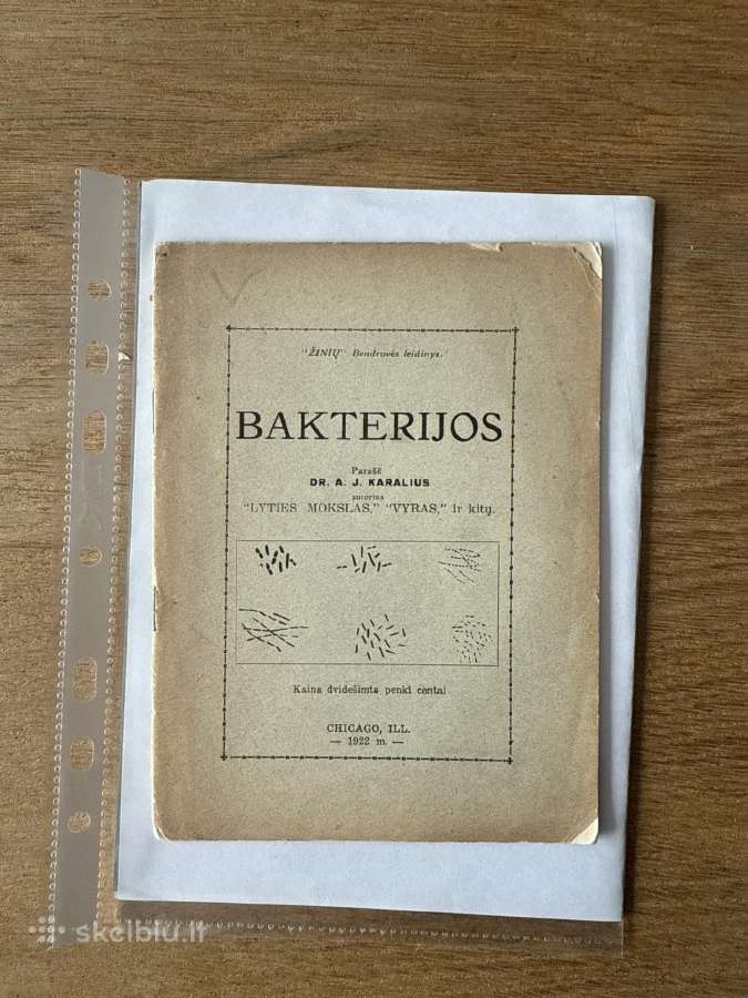 Bakterijos 1922 m.