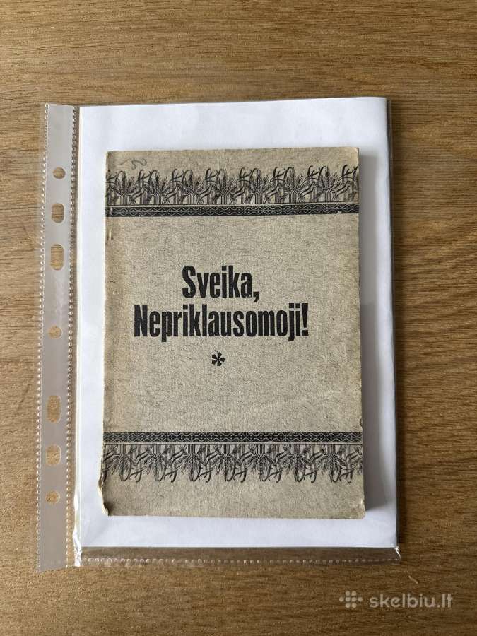 Sveika, Nepriklausomoji! 1928 m.