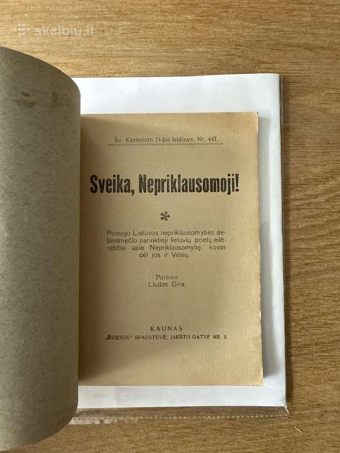 Sveika, Nepriklausomoji! 1928 m. - nuotraukos Nr. 2