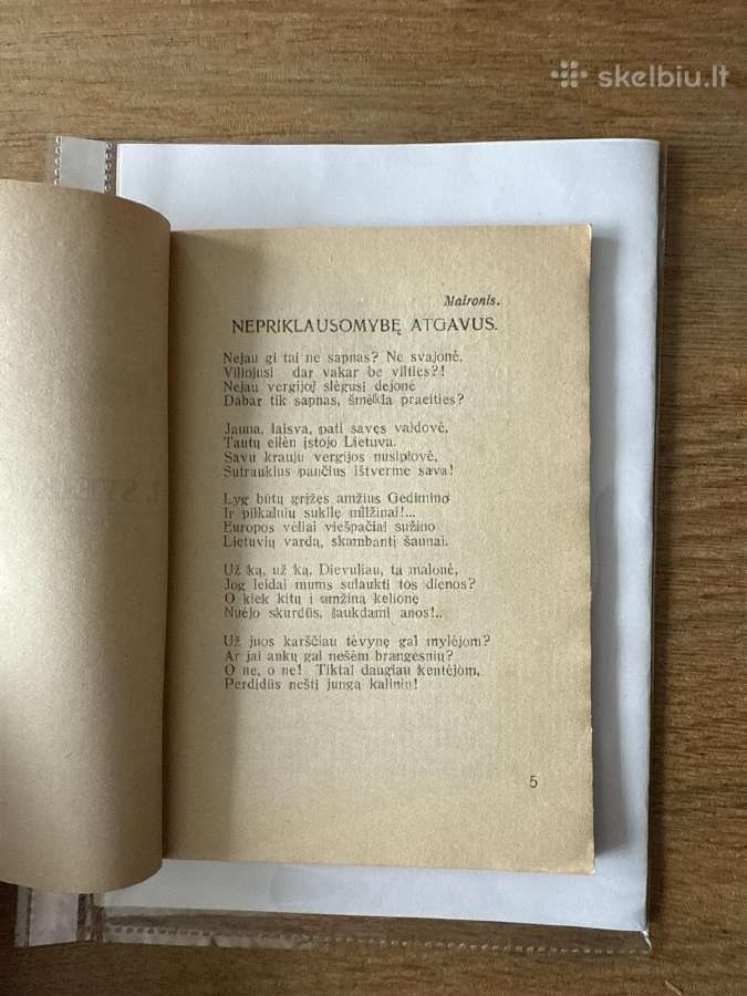 Sveika, Nepriklausomoji! 1928 m. - nuotraukos Nr. 3
