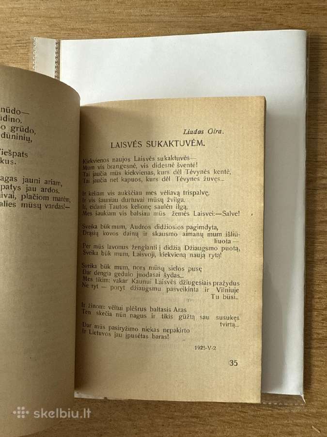 Sveika, Nepriklausomoji! 1928 m. - nuotraukos Nr. 5