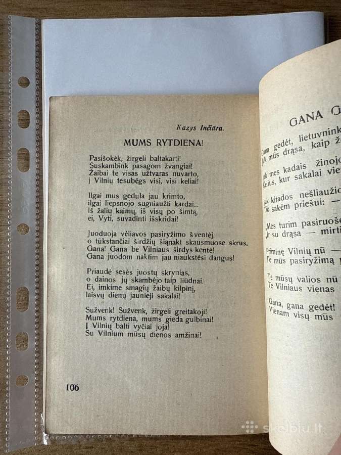 Sveika, Nepriklausomoji! 1928 m. - nuotraukos Nr. 6