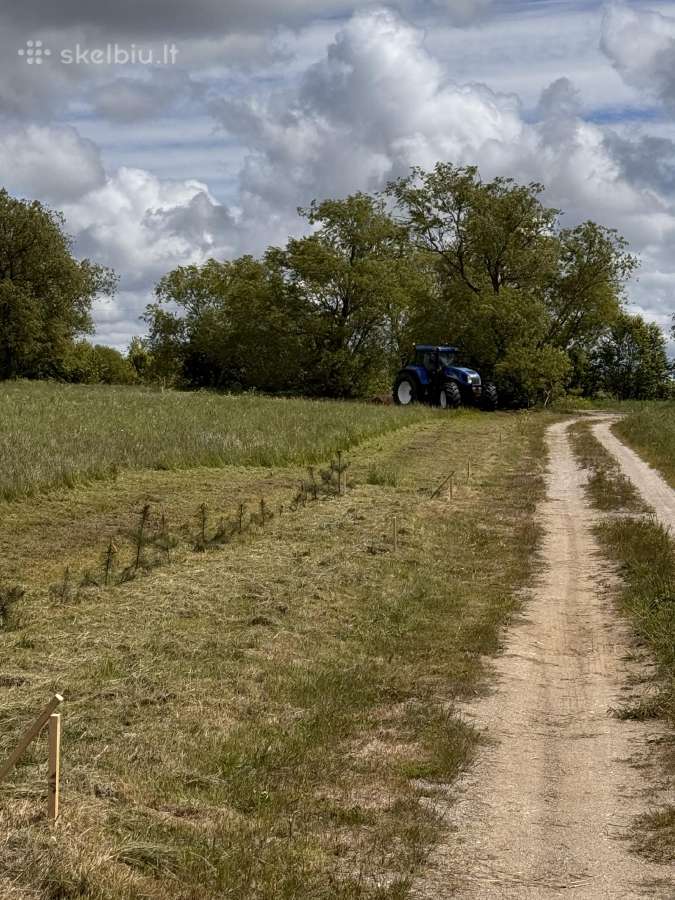 Klaipėdos r.sav Priekulės sen.,pangesų k - nuotraukos Nr. 3