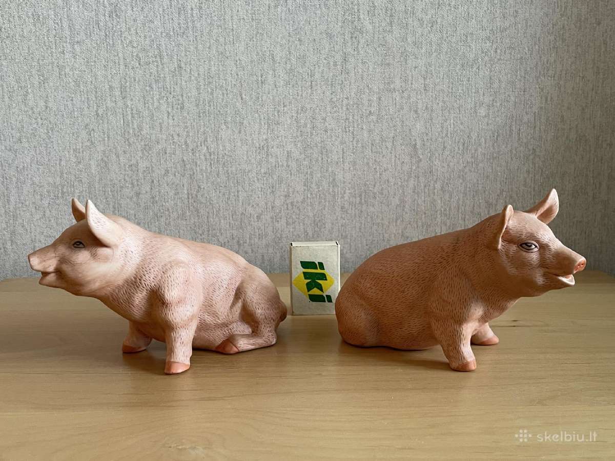 Gal kam i kolekcija