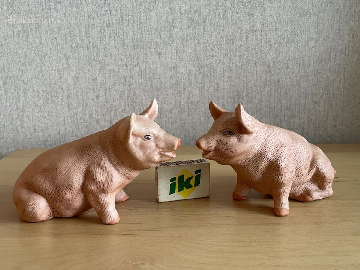 Gal kam i kolekcija - nuotraukos Nr. 2