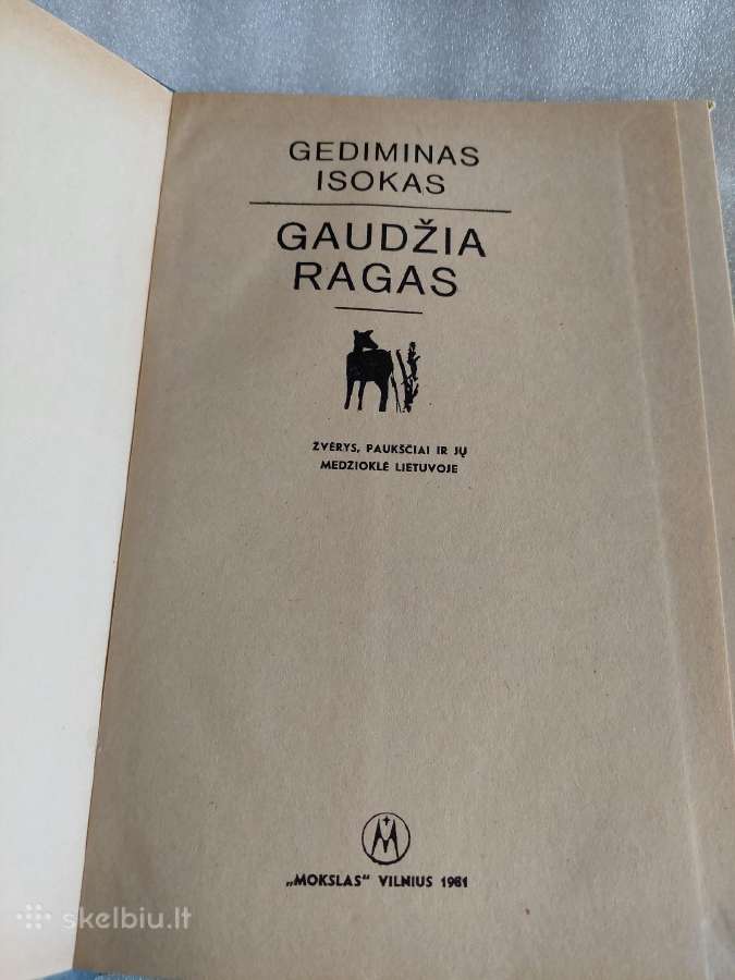 Gaudžia ragas - nuotraukos Nr. 2