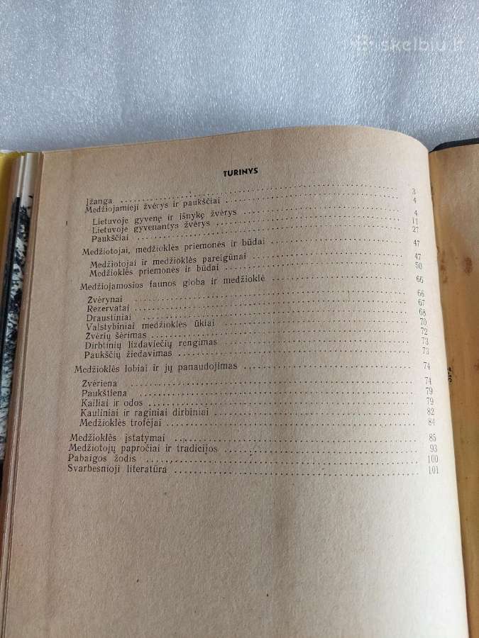 Gaudžia ragas - nuotraukos Nr. 7