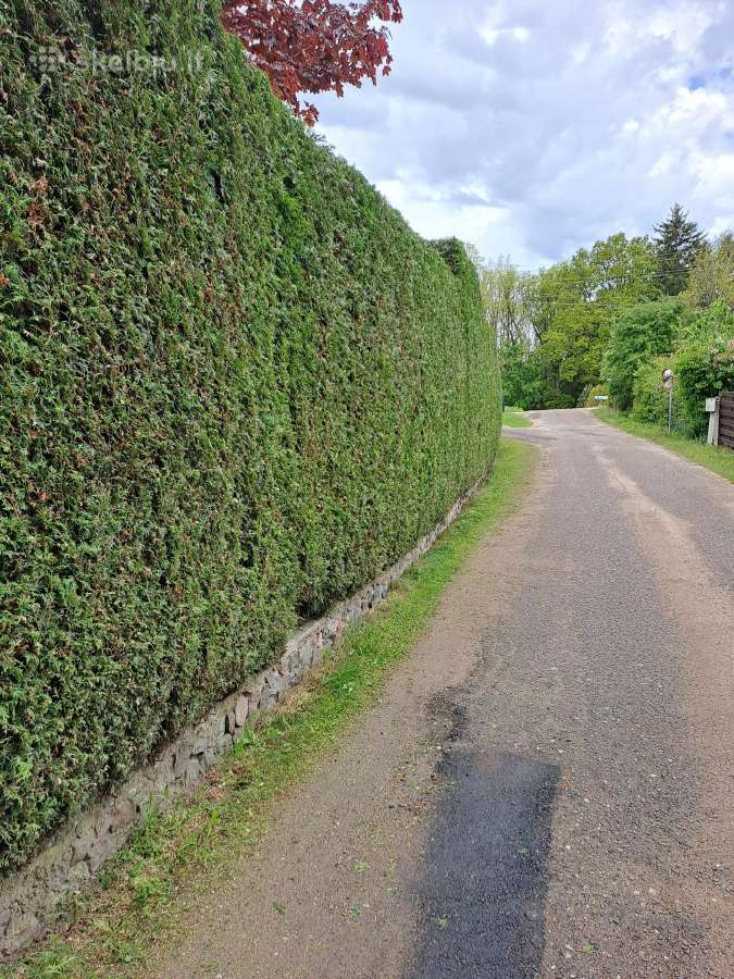 Gyvatvorių karpymas, žeminimas, formavimas - nuotraukos Nr. 15