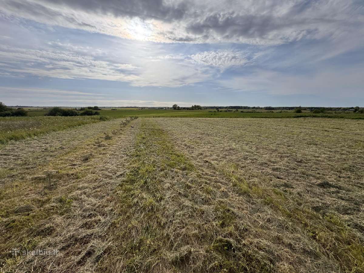 Klaipėdos r.sav Priekulės sen.,pangesų k - nuotraukos Nr. 17