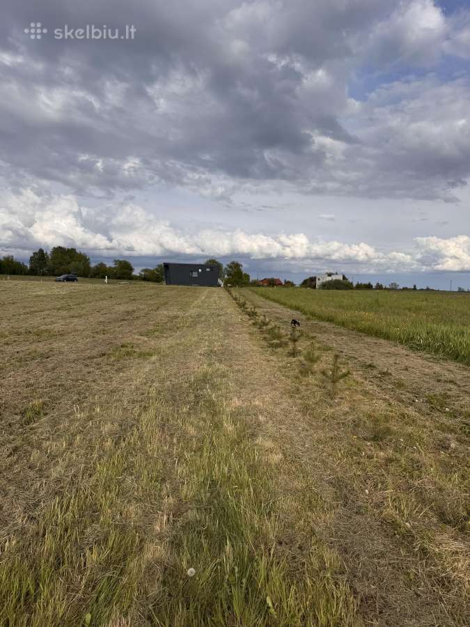 Klaipėdos r.sav Priekulės sen.,pangesų k - nuotraukos Nr. 18