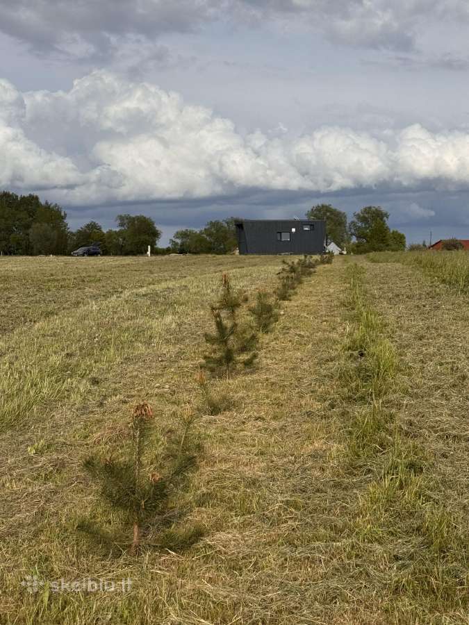 Klaipėdos r.sav Priekulės sen.,pangesų k