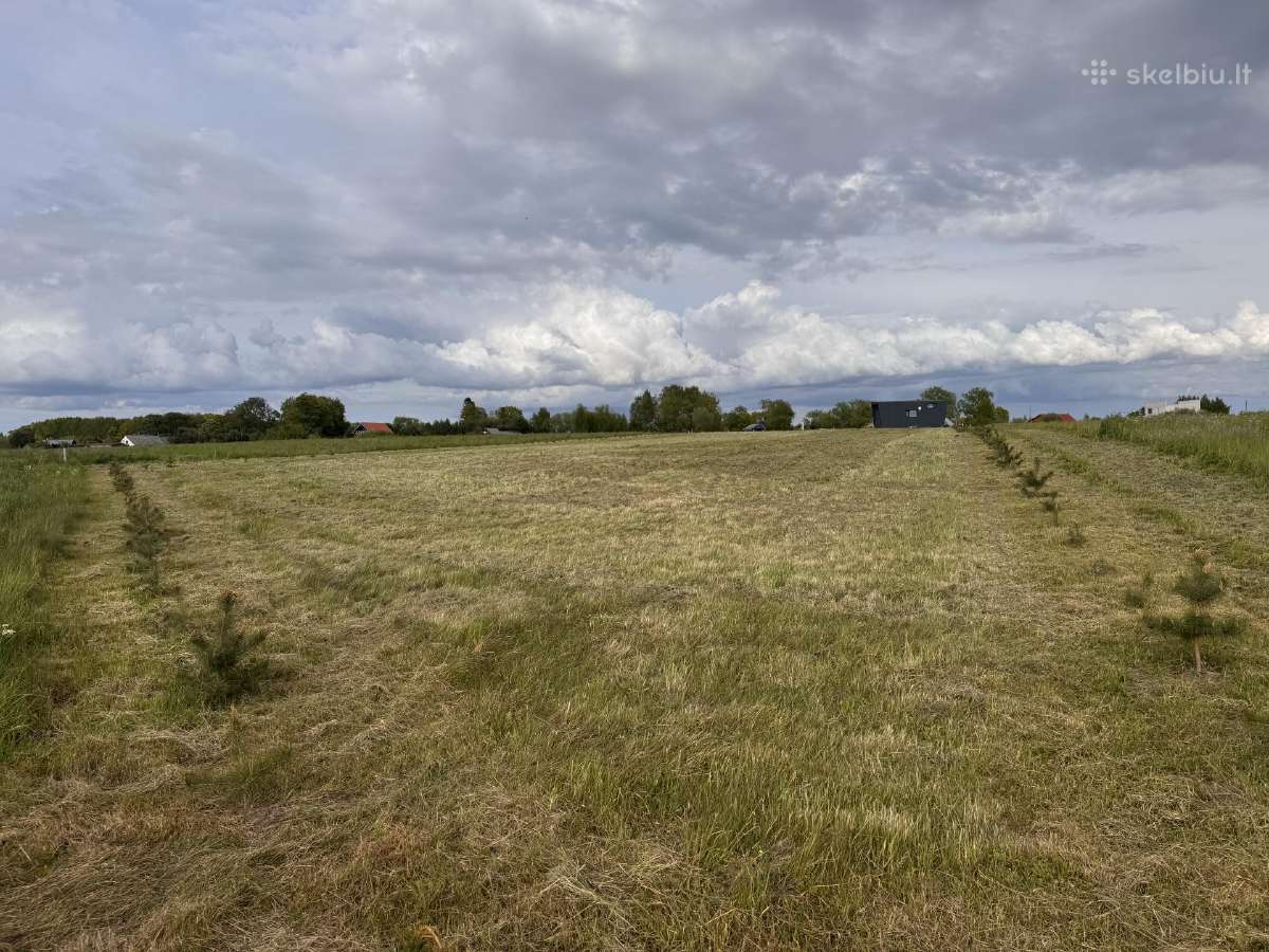 Klaipėdos r.sav Priekulės sen.,pangesų k - nuotraukos Nr. 19
