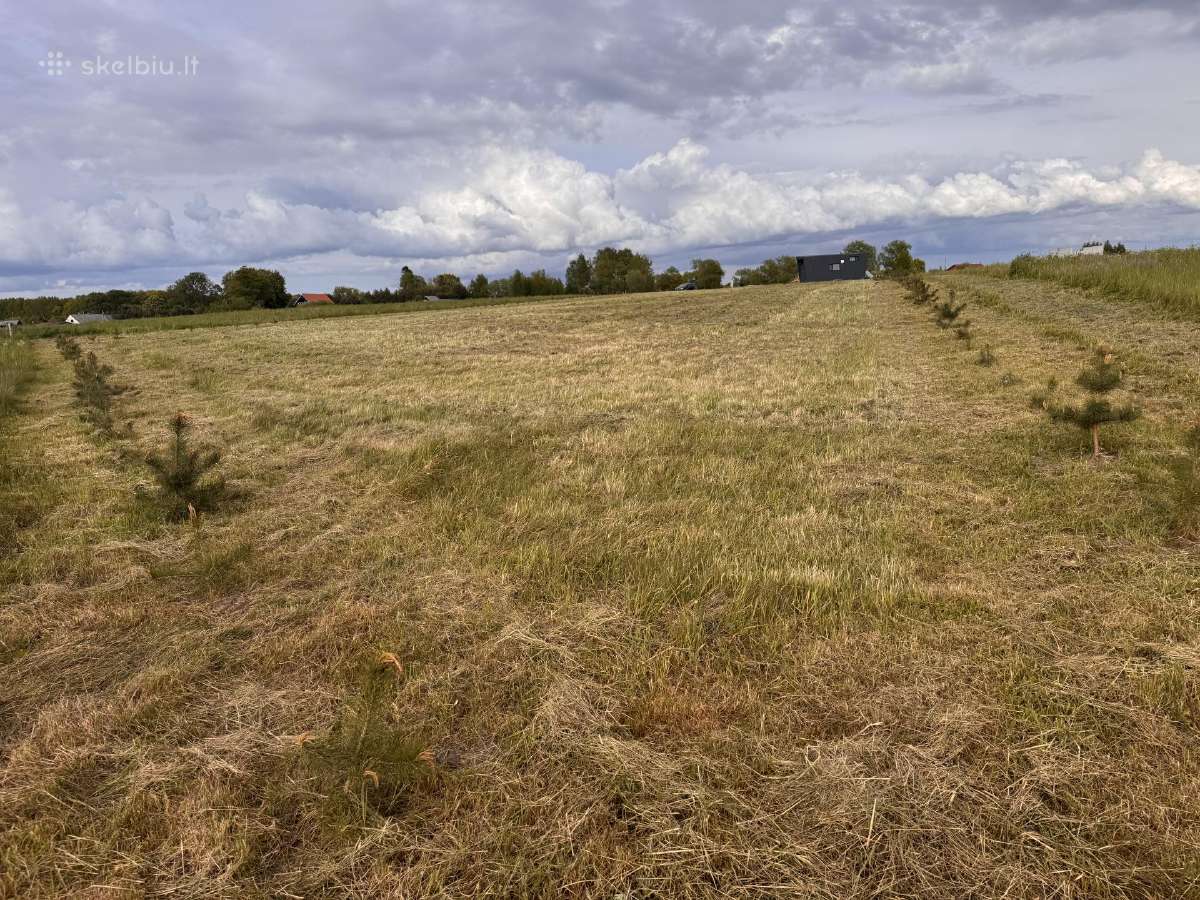 Klaipėdos r.sav Priekulės sen.,pangesų k - nuotraukos Nr. 20