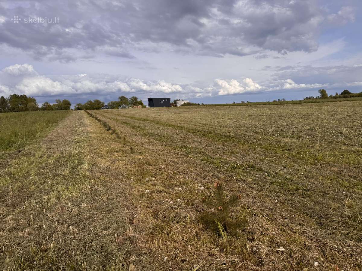 Klaipėdos r.sav Priekulės sen.,pangesų k - nuotraukos Nr. 21
