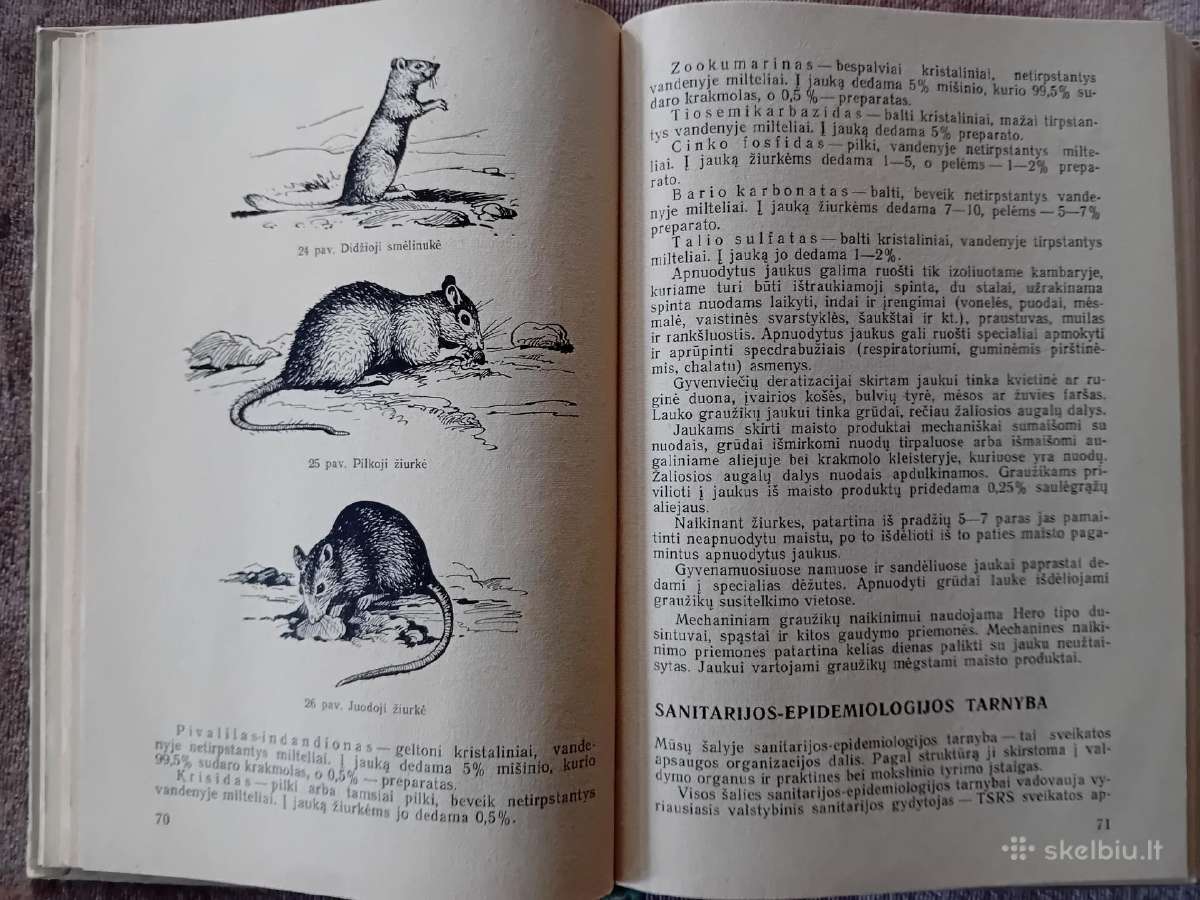 Epidemiologija - nuotraukos Nr. 6
