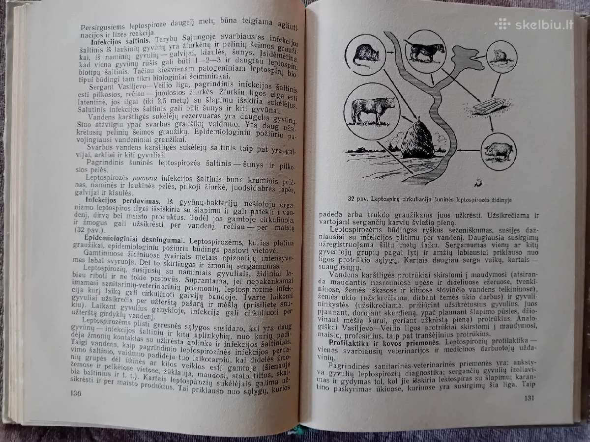 Epidemiologija - nuotraukos Nr. 7
