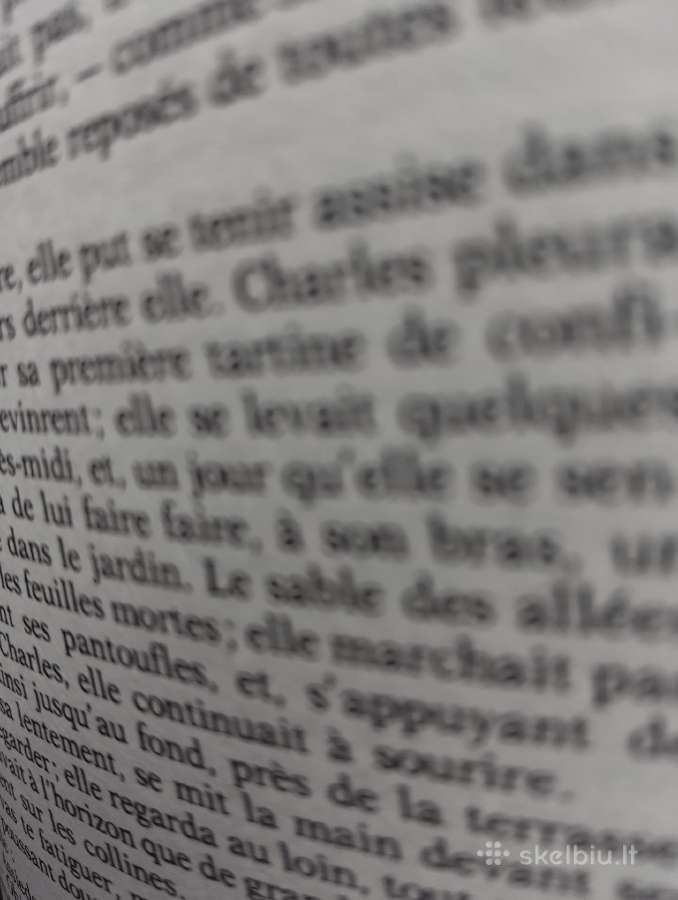 Gustave Flaubert-madame Bovary - nuotraukos Nr. 2