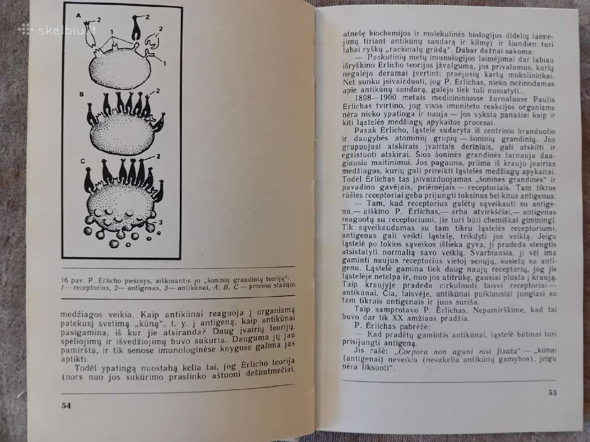 Įdomioji imunologija - nuotraukos Nr. 7