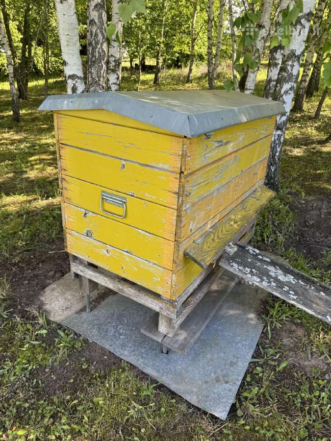Parduodu avilius - nuotraukos Nr. 20