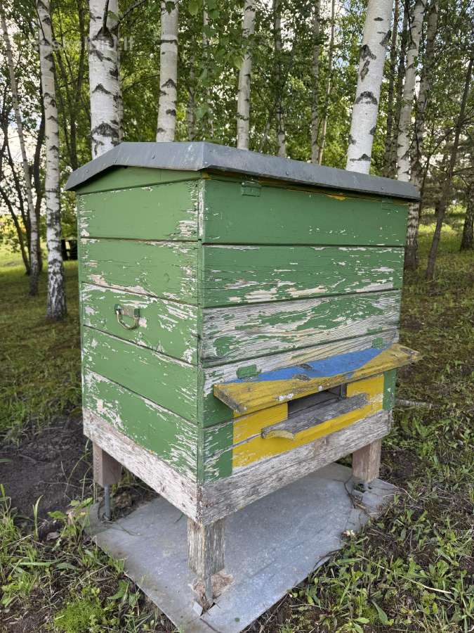 Parduodu avilius - nuotraukos Nr. 24