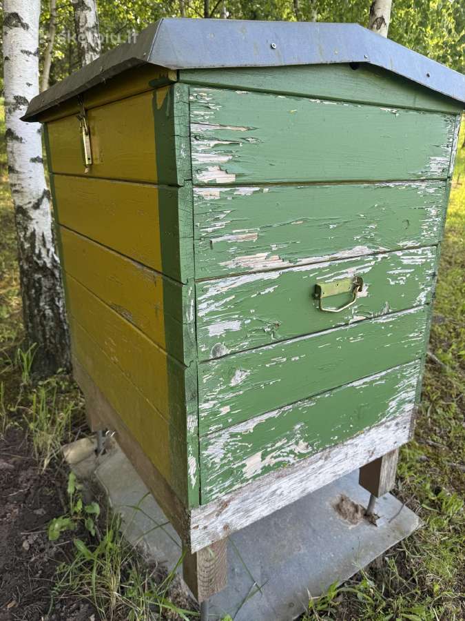 Parduodu avilius - nuotraukos Nr. 26