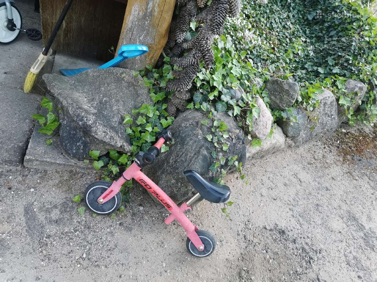 Paspirtukas