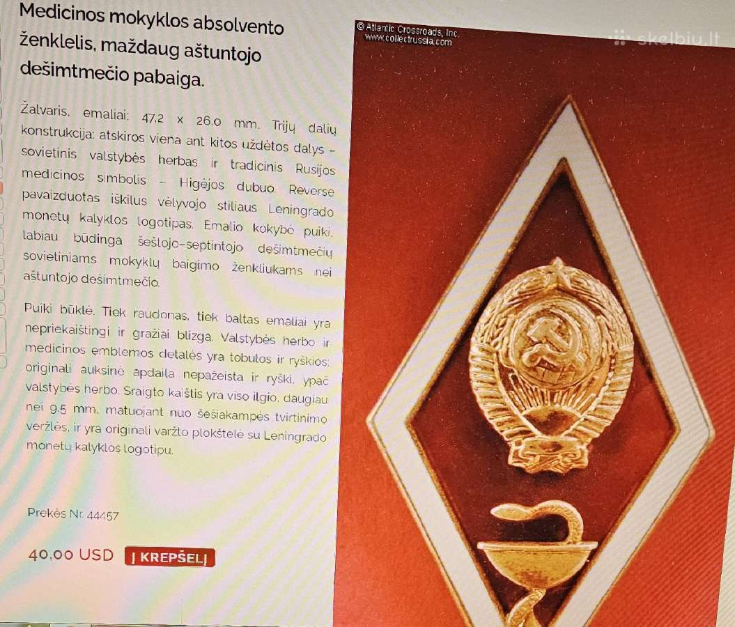 Aukštosios mokyklos rombas. - nuotraukos Nr. 5