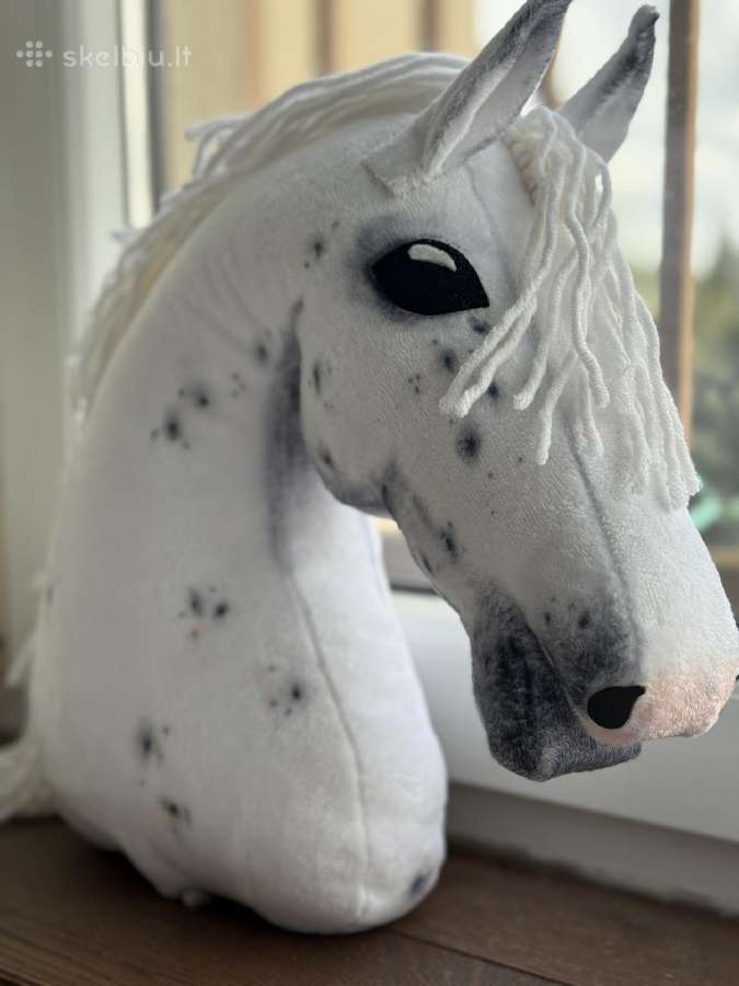 Hobby Horsing Arkliukai
