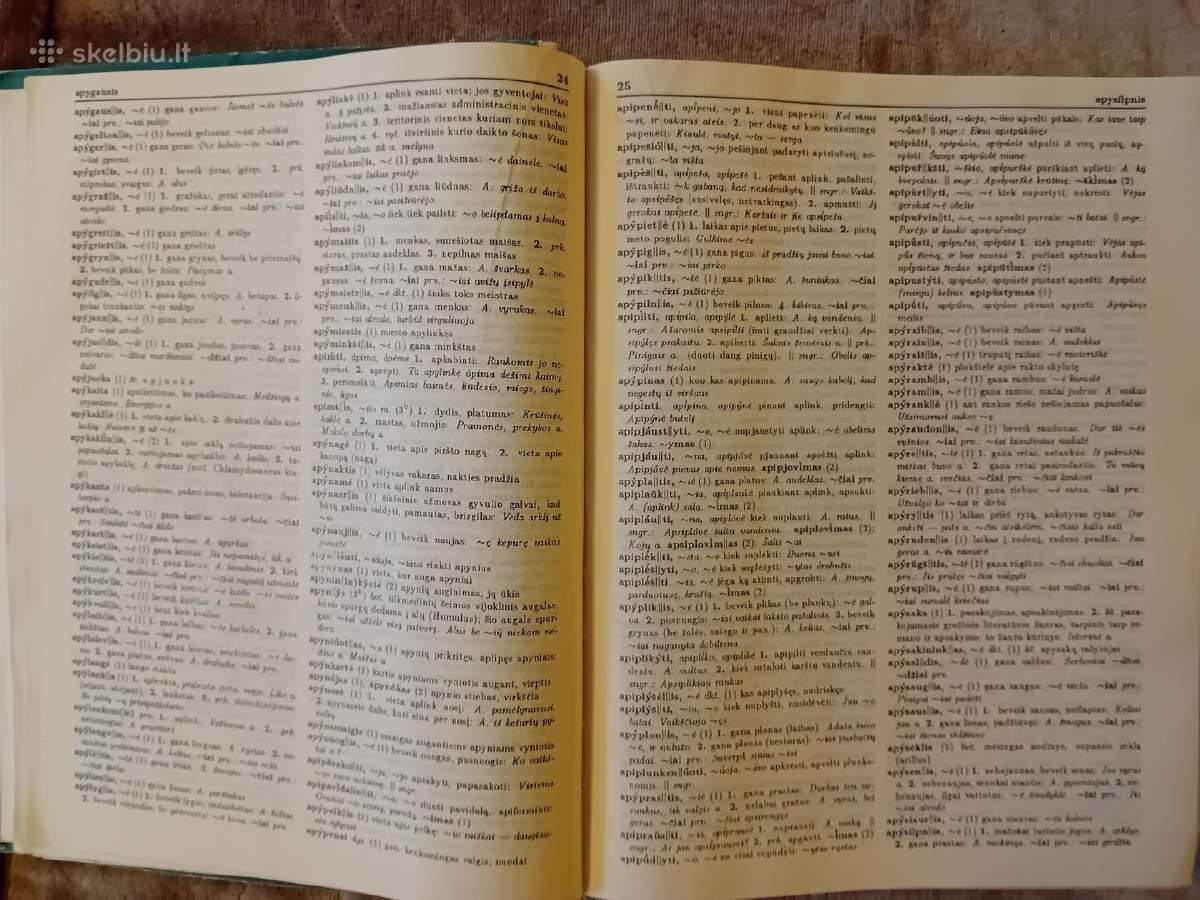 Dabartinės lietuvių kalbos žodynas - nuotraukos Nr. 4