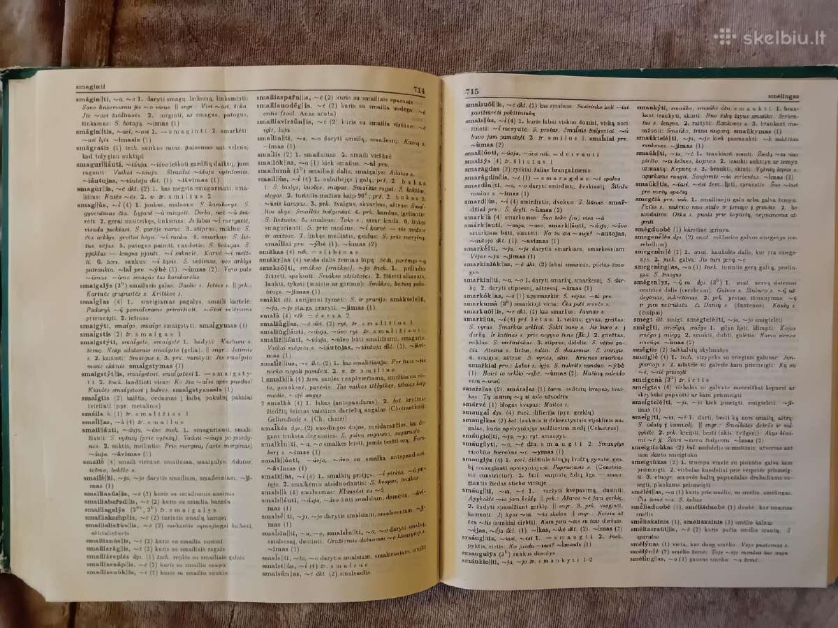Dabartinės lietuvių kalbos žodynas - nuotraukos Nr. 7