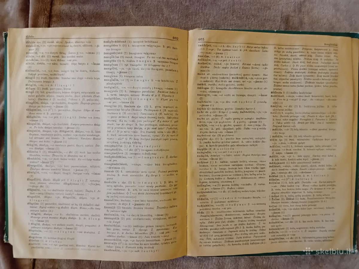 Dabartinės lietuvių kalbos žodynas - nuotraukos Nr. 8
