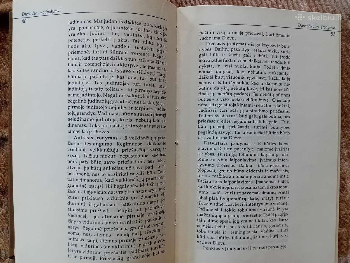 Teologijos ir Religijotyros žodynai - nuotraukos Nr. 6