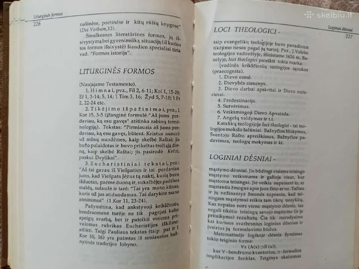 Teologijos ir Religijotyros žodynai - nuotraukos Nr. 11