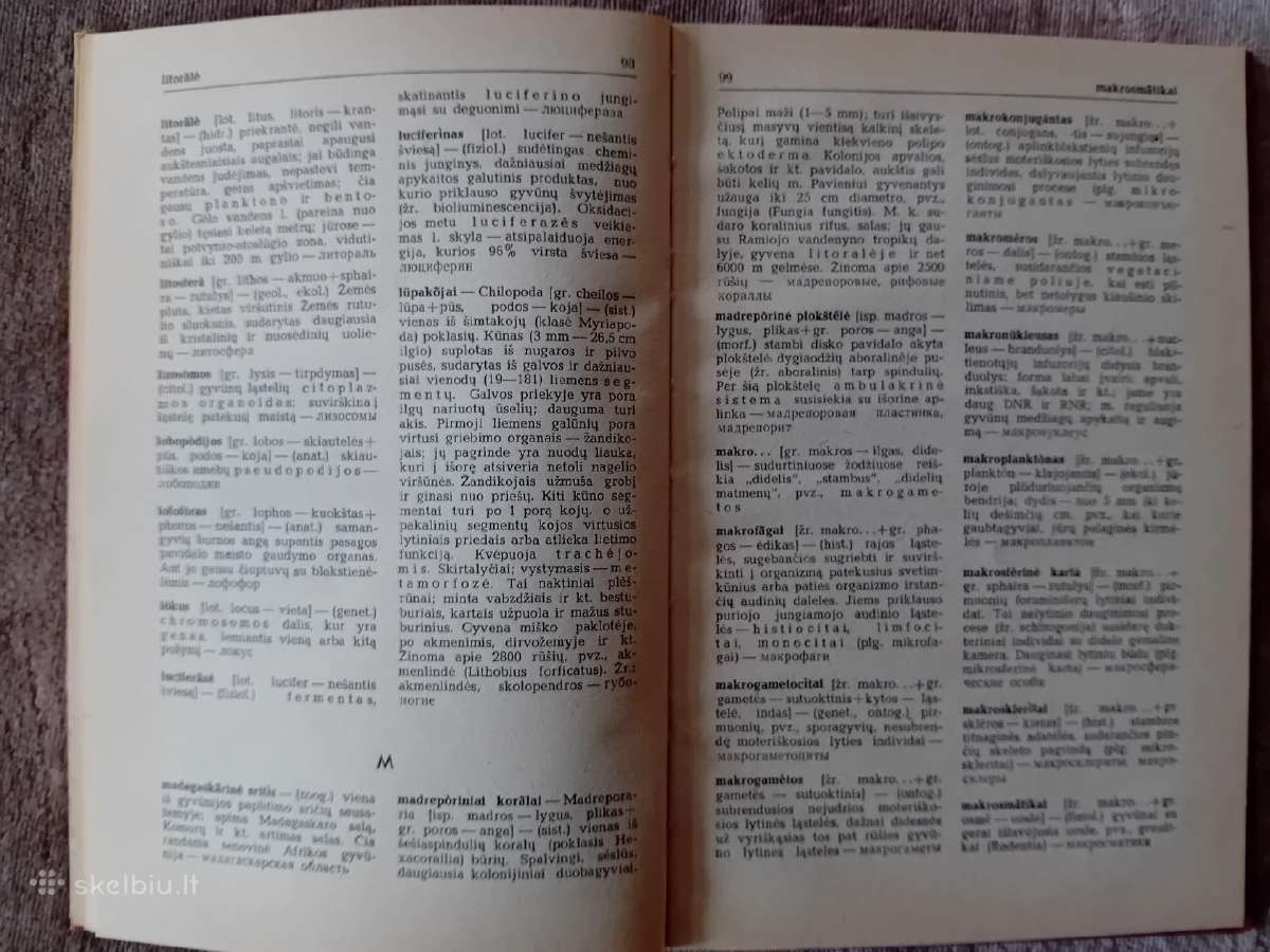 Zoologijos terminų aiškinimai - nuotraukos Nr. 6