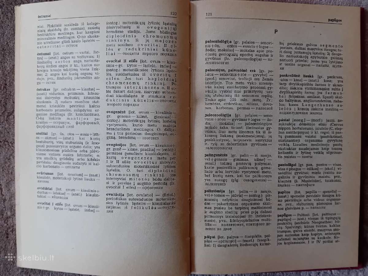 Zoologijos terminų aiškinimai - nuotraukos Nr. 7