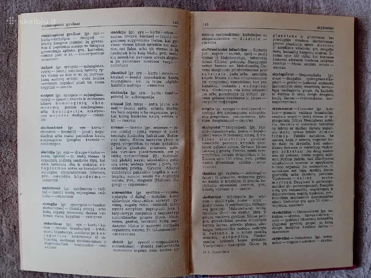 Zoologijos terminų aiškinimai - nuotraukos Nr. 8