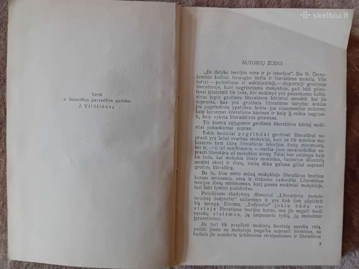 Literatūros mokslo terminų žodynėlis, 1961 - nuotraukos Nr. 3
