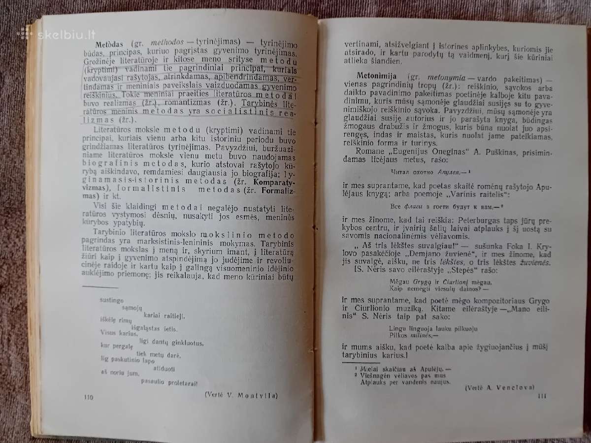 Literatūros mokslo terminų žodynėlis, 1961 - nuotraukos Nr. 7