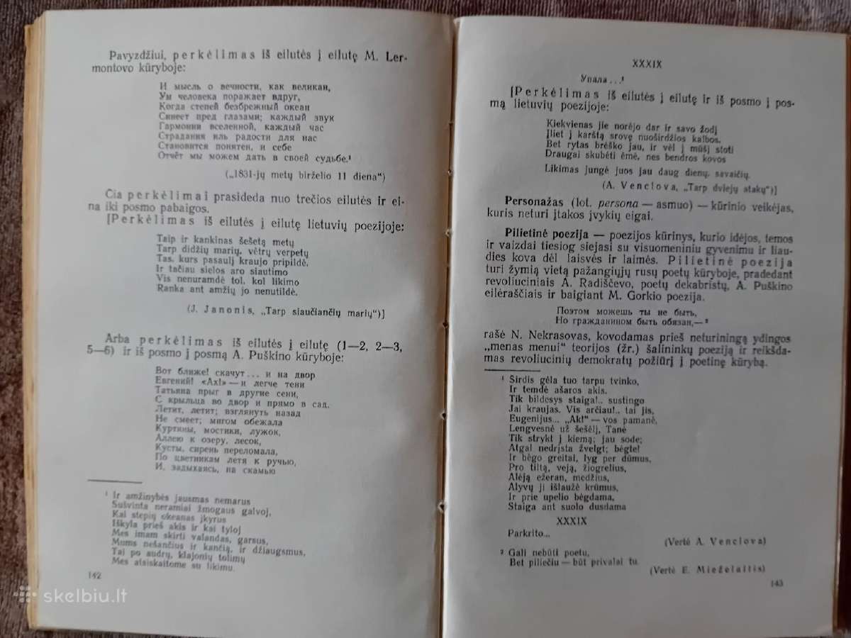 Literatūros mokslo terminų žodynėlis, 1961 - nuotraukos Nr. 8