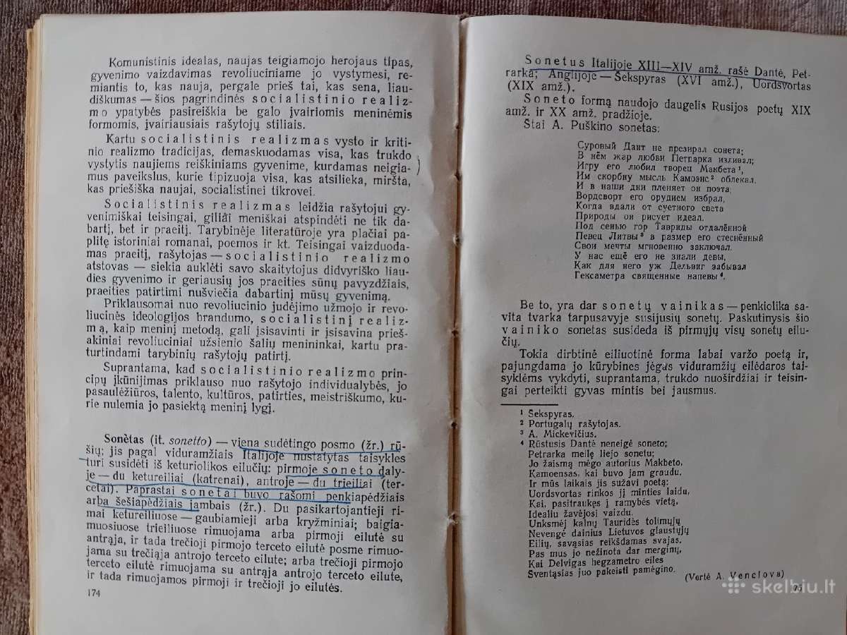 Literatūros mokslo terminų žodynėlis, 1961 - nuotraukos Nr. 9