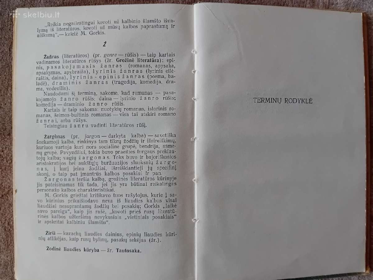 Literatūros mokslo terminų žodynėlis, 1961 - nuotraukos Nr. 10